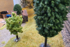 0161dfbe-8d69-f582-62c5-d2726f2e161d-scaled