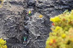 8e0fc76e-cdc4-595e-3596-2a8265a24e29-scaled