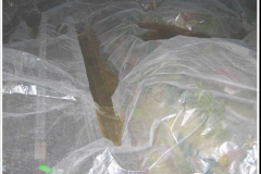 84d0dc3f-d934-d1d8-d860-450498b5d28b